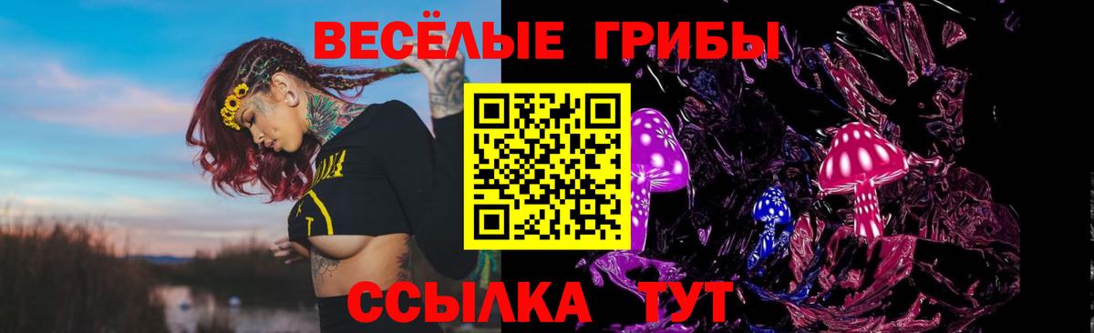 Новочебоксарск  Галлюциногенные грибы мухоморы  Вход с VPN 